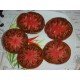 Tomato seeds Dwarf Thongs 10 seeds