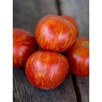 Tigrella tomato seeds 30 pcs