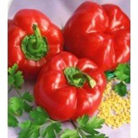 Pepper seeds "from Lazarev" Alexander (20-50) seeds