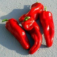 Pepper seeds "from Lazarev" Goat's horn (paprika) 20-50 seeds