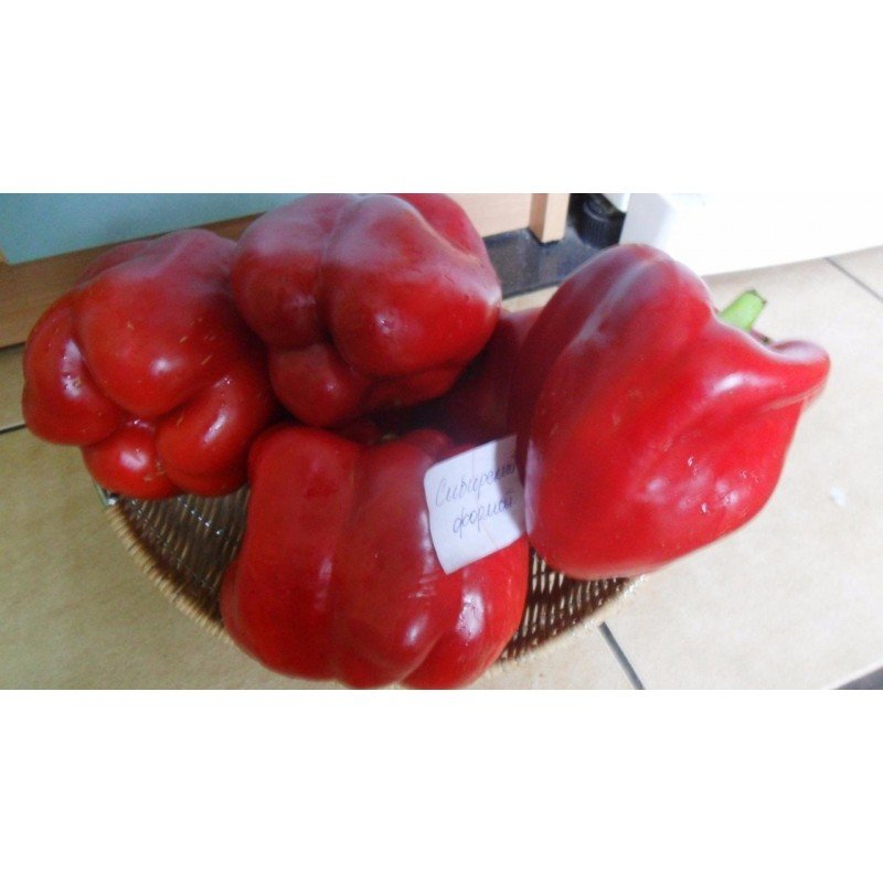 Pepper seeds "from Lazarev" Siberian format 20-50 seeds