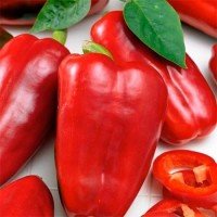 Pepper Red Giant 20 seeds