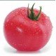Насіння томату Загадка рожева 30 нас