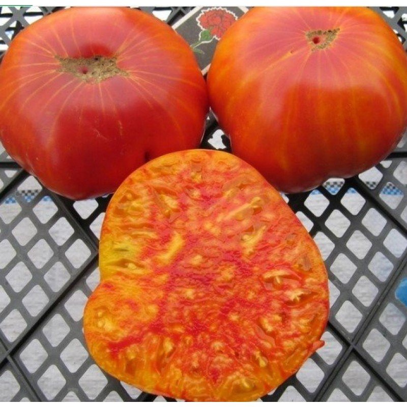 Tomato seeds Mammoth German Gold "Mammoth German Gold" 15 seeds