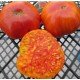 Tomato seeds Mammoth German Gold "Mammoth German Gold" 15 seeds