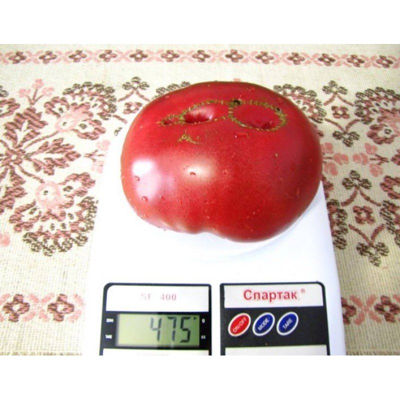 Насіння томату Новий чорний 15 нас