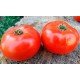 Насіння томату Насіння від Лазарєвих Агронавт 0,1 гр (15-30 насінин)