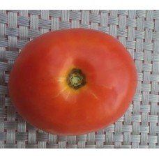 Tomato seeds Seeds from Lazarev Accelerat 0.1 g (15-30 seeds)
