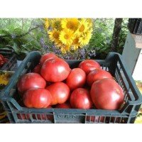 Rosalie Tomato Seeds 30 pcs