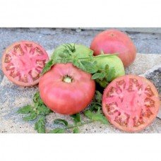 Tomato seeds Pink Magic 30 pcs
