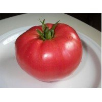 Tomato seeds Miracle of the Earth 30 us