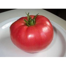 Tomato seeds Miracle of the Earth 30 us