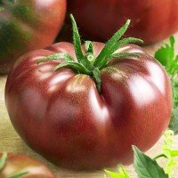 Tomato seeds Biche heart chocolate 0.1 g (15 seeds)