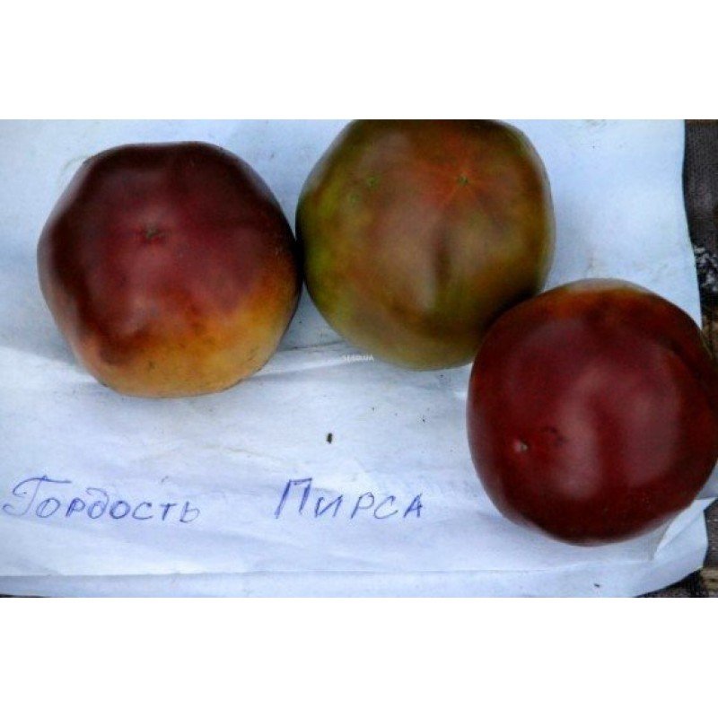 Насіння томату Гордість пірсу 15 насінин