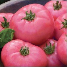 Tomato seeds "from Lazarev" Mikado pink 15 seeds