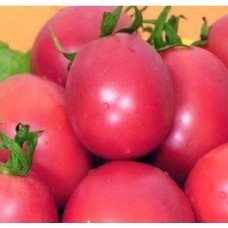 Tomato seeds "from Lazarev" Nastenka 15 seeds