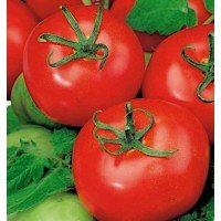 Tomato seeds "from Lazarev" Sabala 15 seeds
