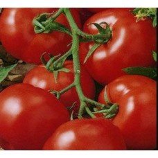 Tomato seeds "from Lazarev" Sharik 15 seeds