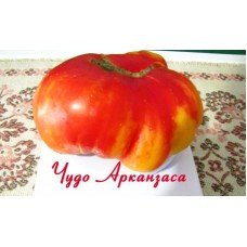 Tomato seeds "from Lazarev" Miracle of Arkansas 15 seeds