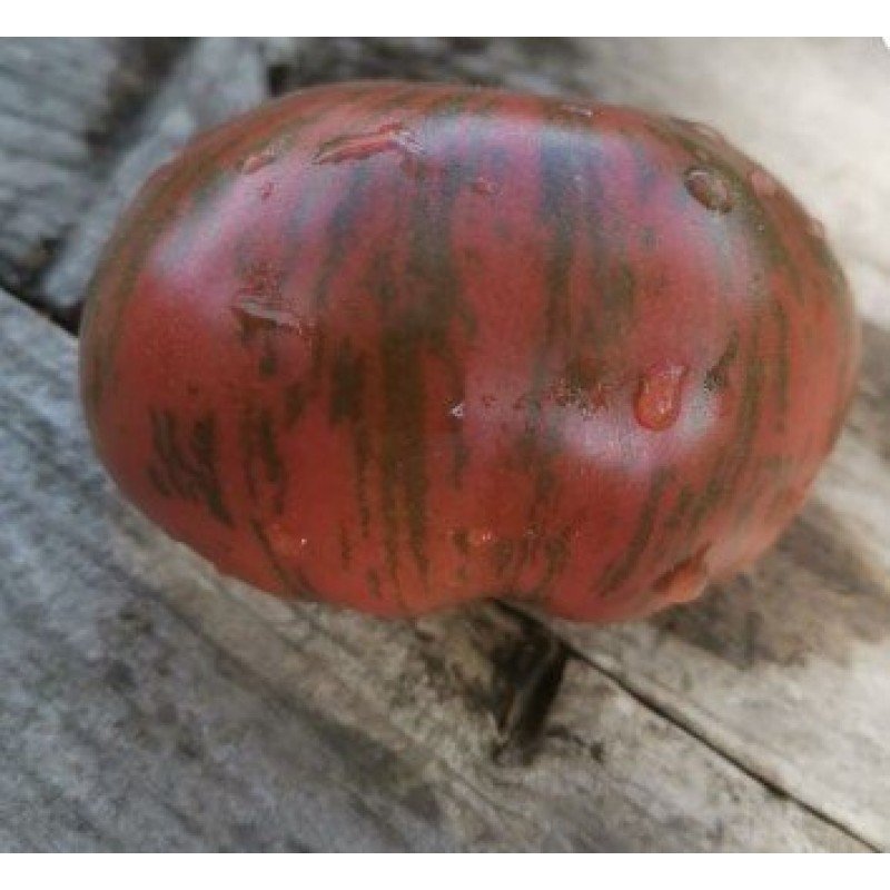 Насіння томату Тай Дай Фред 15 насінин