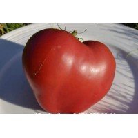 Tomato seeds Japanese heart 30 us