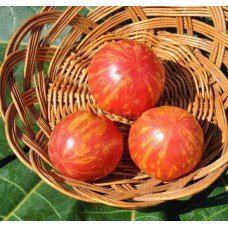 Tomato seeds "from Lazarev" Vernissage pink 30-60 seeds