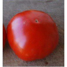 Tomato seeds Lion 30 us