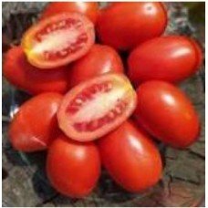 Tomato seeds Cream Frodo 30 seeds