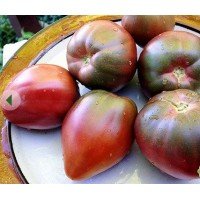 Tomato seeds Yuzhanka 30 seeds