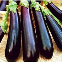Eggplant seeds Purple Miracle 30 pcs