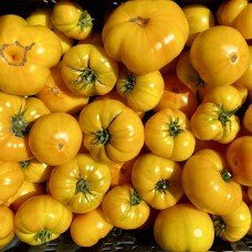 Tomato seeds Azoyushka 15 pcs