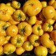 Tomato seeds Azoyushka 15 pcs