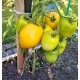 Tomato seeds Buyan (Boets) yellow 15 pcs