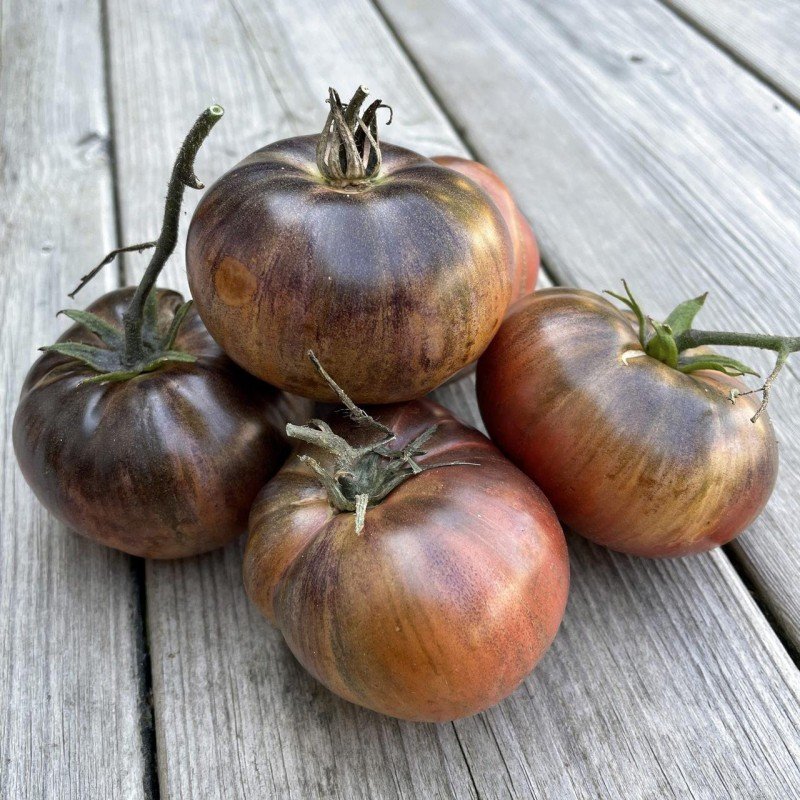 Насіння томату Гном Стрінги (The Thong Dwarf) 10 шт