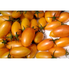 Tomato seeds Kotya F1 10 pcs