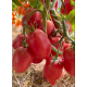 Насіння томату Сулейман F1 10 шт