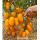 Tomato seeds Siesta F1 5 pcs