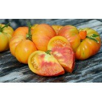 Dwarf Kaitidid tomato seeds 10 pcs