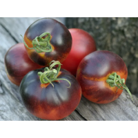 Насіння томату Бандоль Блюз (Bandol Blues) 10 шт