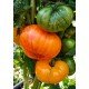 Tomato seeds Dwarf Delta Diver (Dwarf Delta Diver) 10 pcs