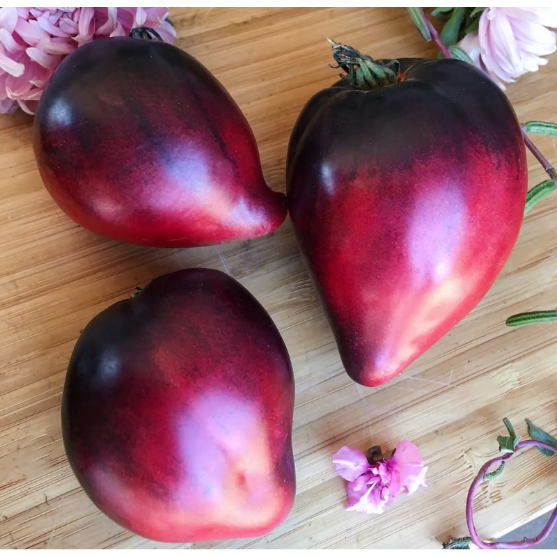 Насіння томату Сині Гори Сержанта Пеппера (Sgt. Pepper's Blue Hills) 10 шт