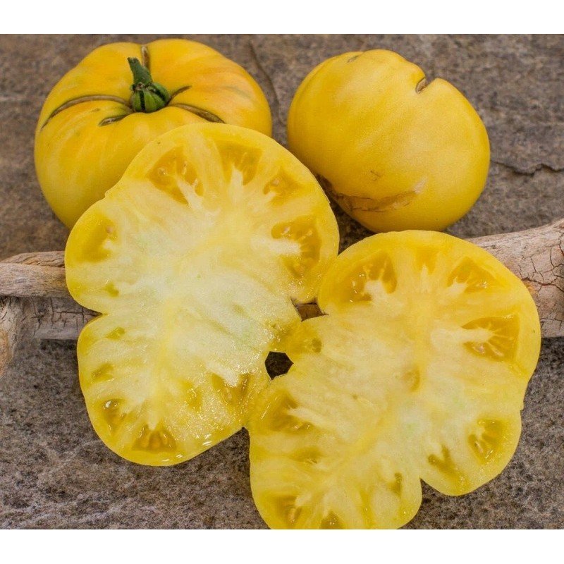Tomato seeds Dwarf Walter's Fancy (Dwarf Walter's Fancy) 10 pcs