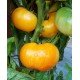 Tomato seeds Dwarf Perfect Harmony (Dwarf Perfect Harmony) 10 pcs