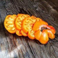 Насіння томату Гном Щасливий Вихор (Dwarf Lucky Swirl) 10 нас