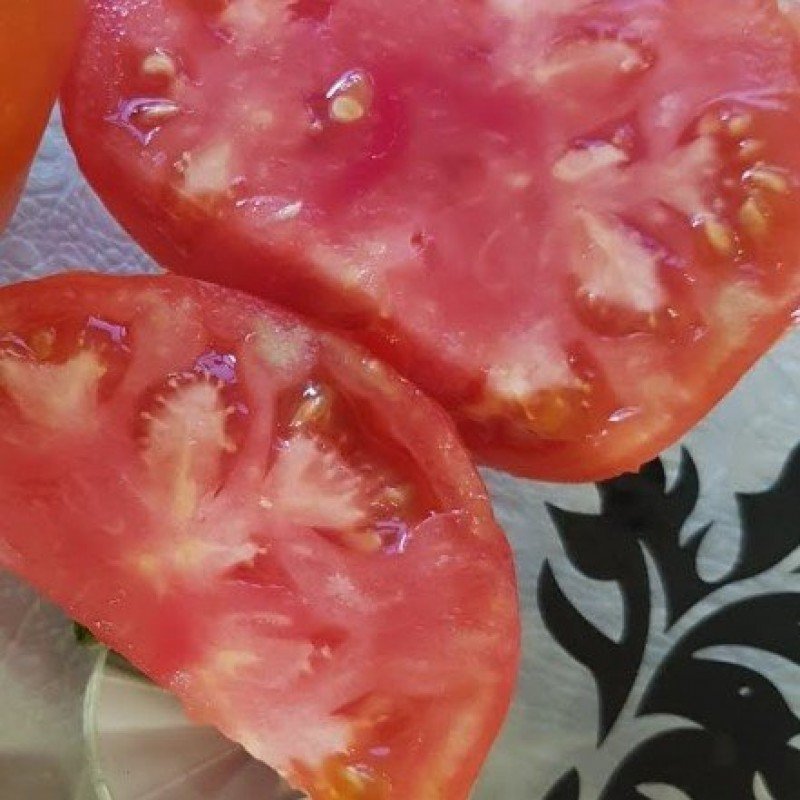 Tomato seeds Exhibition 15 pcs