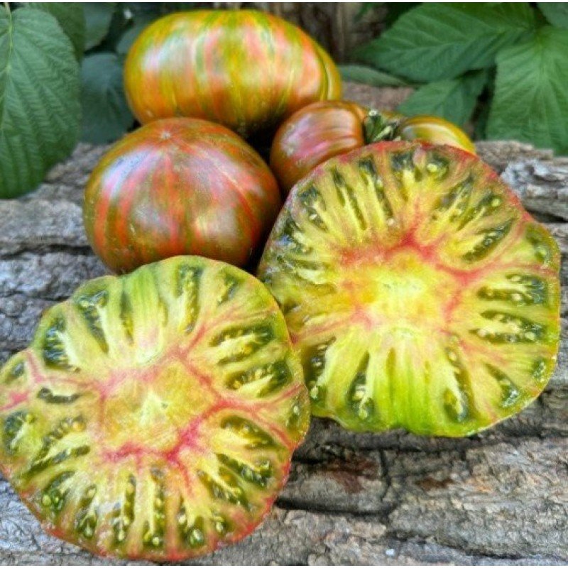 Насіння томату Літо кохання (Summer of Love) 15 шт