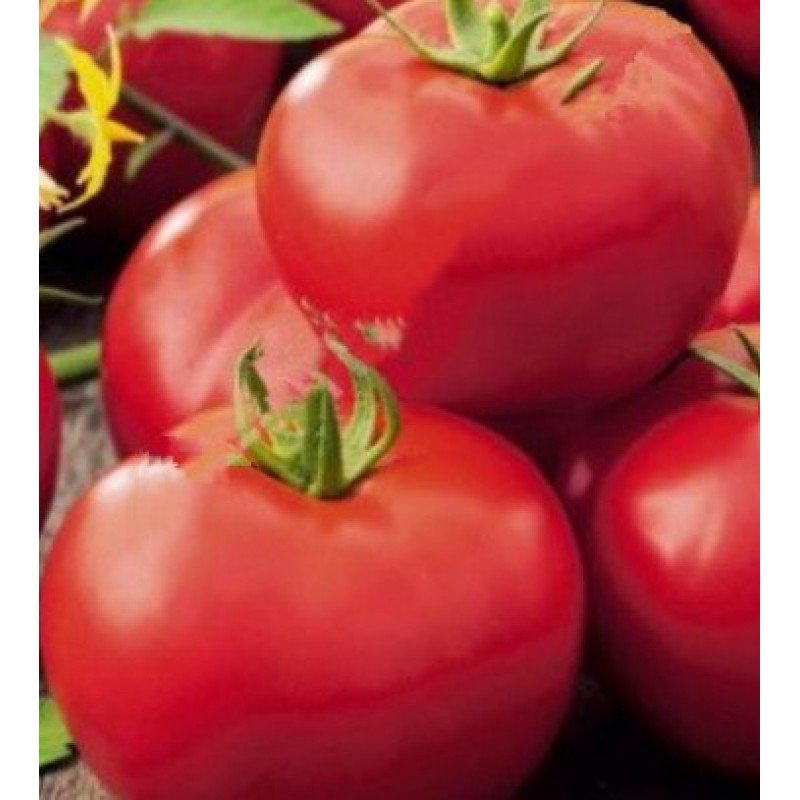 Tomato seeds King Kong (King Kong) 15 pcs