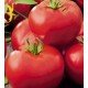 Tomato seeds King Kong (King Kong) 15 pcs