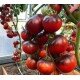 Tomato seeds Black Goddess 15 pcs