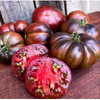 Насіння томату Гном Карлик Стринги (The Thong Dwarf) 10 шт